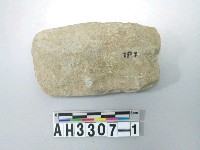 藏品(中型舌刃打磨製石斧)的圖片